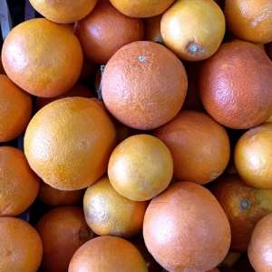 پرتقال توسرخ
